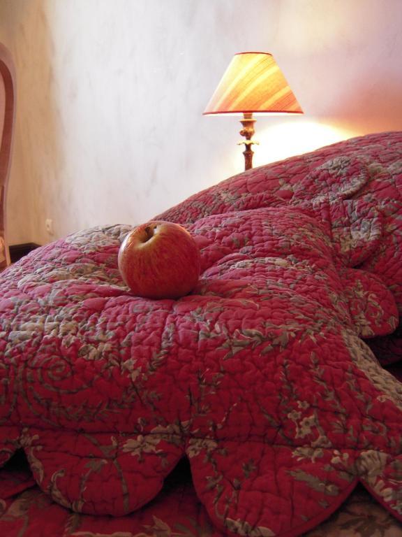 Les Demoiselles De Ladoix Bed & Breakfast Room photo